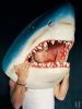 Filename=chrish31~0.jpg
Filesize=44KiB
Dimensions=444x590
Date added=Oct 22, 2017 chrish31~0.jpg