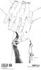 Filename=firefly02.jpeg
Filesize=121KiB
Dimensions=900x1514
Date added=Sep 10, 2018 firefly02.jpeg